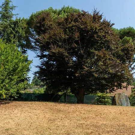 Loft 1 - In Zona Strategica Tra Le Perle Del Di Erba