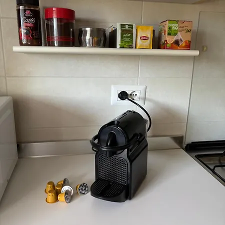 Loft 1 דירה ארבה