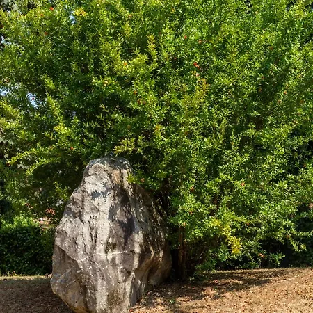 Apartment Loft 1 - In Zona Strategica Tra Le Perle Del Di Erba